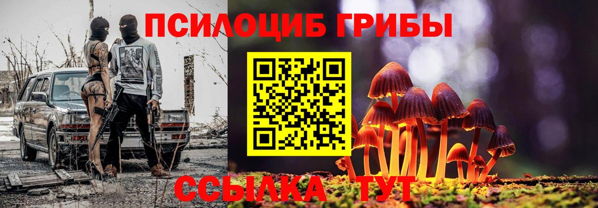 Баксан  Галлюциногенные грибы Psilocybine cubensis  Вход с VPN 